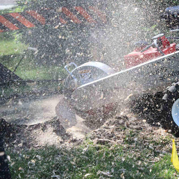 Dosko Stump Grinder - Honda GX630 20 HP Self-Propelled